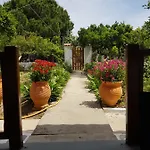 Asimina's House