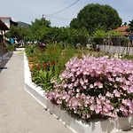 Asimina's House Aparthotel Skiathos