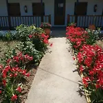 Asimina's House 4*
