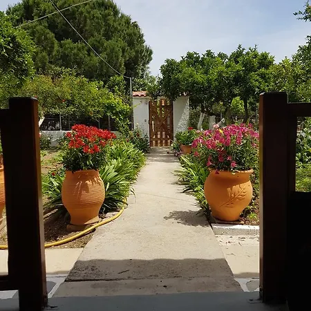 Asimina's House