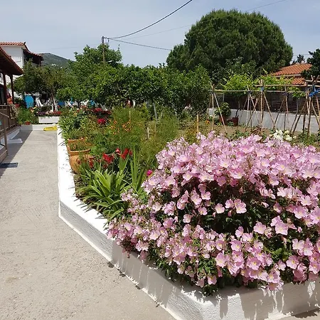 Asimina's House Aparthotel Skiathos-stad