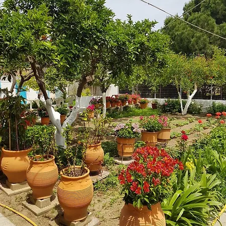Aparthotel Asimina's House Skiathos Town
