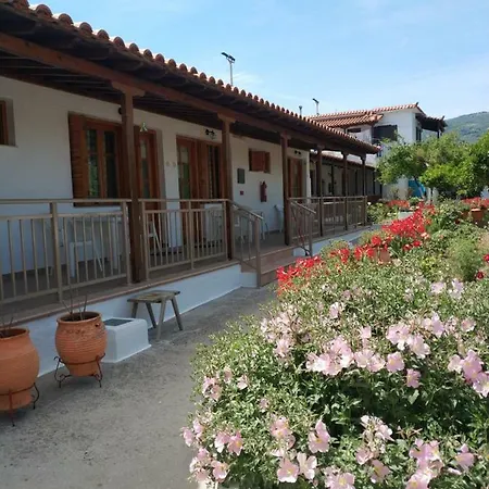 Asimina's House